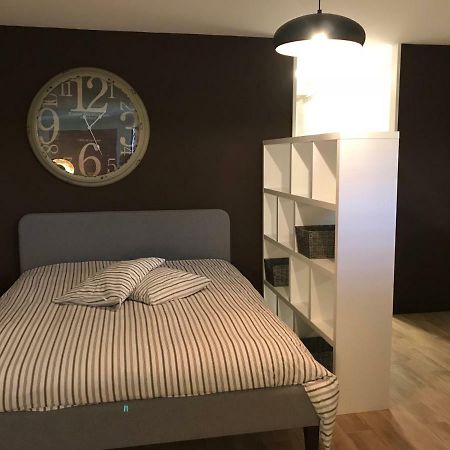 Large Studio Near Epfl And Lausanne City Center Ecublens  Kültér fotó