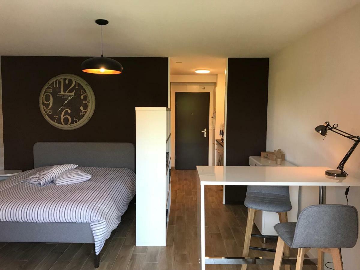 Large Studio Near Epfl And Lausanne City Center Ecublens  Kültér fotó