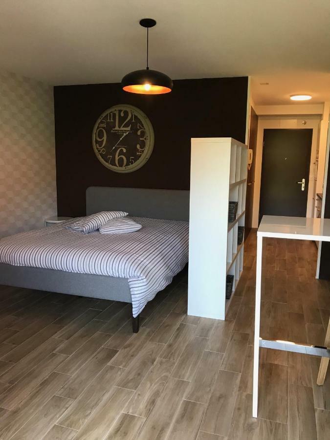 Large Studio Near Epfl And Lausanne City Center Ecublens  Kültér fotó