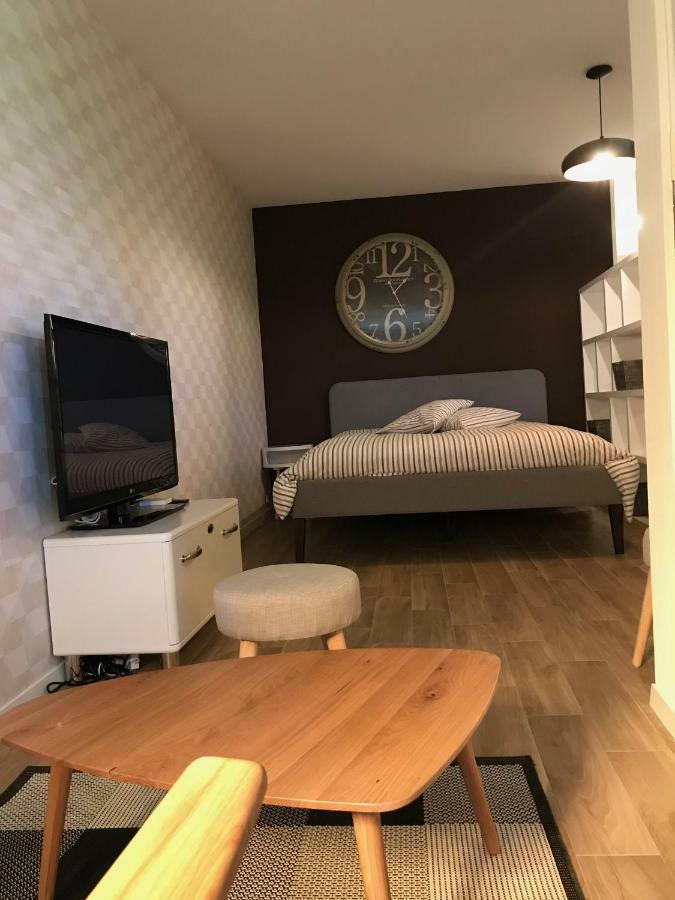 Large Studio Near Epfl And Lausanne City Center Ecublens  Kültér fotó